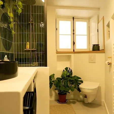 Appartement Chaleureux T2 En Hyper Centre De *